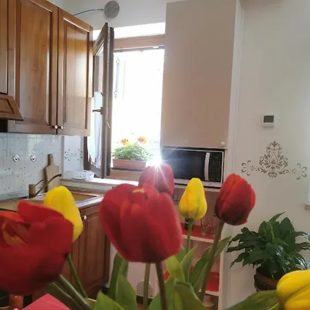 Appartamento App Vicino A *