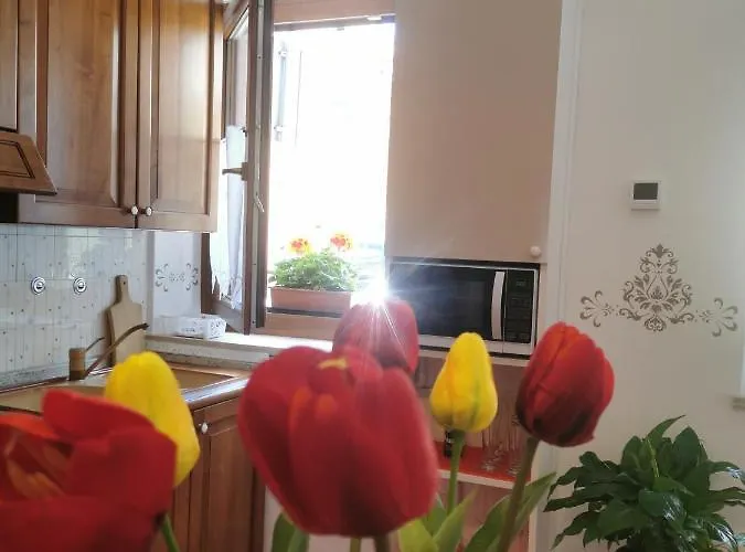 Apartament App Vicino A *